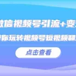 (5548期)2023微信视频号引流+变现训练营:手把手带你玩转视频号短视频和直播运营!