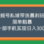 (5544期)视频号私域带货暴利玩法,简单粗暴,一部手机实现日入300+