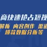 (5538期)淘系电商快速抢占短视频红利:流量解析 内容创作 渠道投放 爆款数据分析等