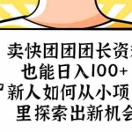 (5535期)卖快团团团长资料也能日入100+ 新人如何从小项目里探索出新机会