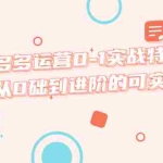 (5521期)拼多多运营0-1实战特训营,拼多多从0础到进阶的可实操玩法!