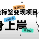 (5514期)抖音流量标签变现项目,抖音创业粉轻松转化,单价高收益简单