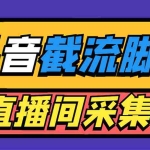 (5511期)引流必备-外面收费998最新抖音直播间截流 自动采集精准引流【脚本+教程】