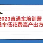 (5462期)2023直通车培训营:直通车低花费-高产出的方法公布!