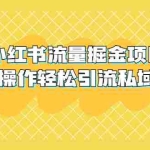 (5451期)外面收费398小红书流量掘金项目,简单操作轻松引流私域爆单