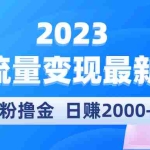 (5428期)2023美女流量变现最新玩法,0粉撸金,日赚2000+,实测日引流300+