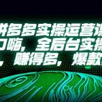 (5423期)拼多多实操运营课:拒绝口嗨,全后台实操演示,花的少,赚得多,爆款更简单