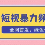 (5409期)外面收费1680的短视频暴力撸金,日入300+长期可做,赠自动收款平台
