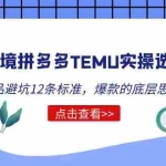 (5402期)跨境拼多多TEMU实操选品运营方法,选品避坑12条标准,爆款的底层思路等