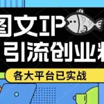 (5372期)价值1688的ks dy 小红书图文ip引流实操课,日引50-100!各大平台已经实战