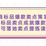 (5337期)电商标品爆款卖点策划课,标品卖点成就爆款,可落地卖点提炼课