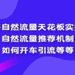 (5327期)拼多多自然流量天花板实操玩法:自然流量推荐机制,如何开车引流等等