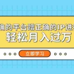(5325期)在正确的平台蹭正确的IP进行带货,轻松月入过万