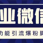 (5322期)企业微信多功能营销高级版,批量操作群发,让运营更高效【软件+操作教程】