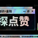 (5311期)最新探探全自动点赞引流,配合男粉变现思路轻松日赚500+【脚本+教程】