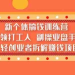 (5308期)新个体搞钱训练营:带领打工人 副操业盘手 年轻创业者拆解赚钱项目