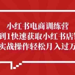 (5309期)小红书电商训练营,小白0到1快速获取小红书店铺流量,实战操作月入过万