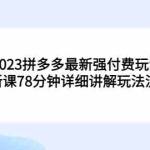 (5260期)2023拼多多最新强付费玩法,3月新课78分钟详细讲解玩法流程!