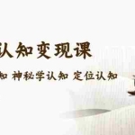 (5258期)售价2890的玄学ip认知变现课 星座塔罗认知 神秘学认知 定位认知 (34节课)