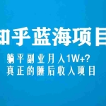 (5254期)知乎蓝海玩法,躺平副业月入1W+,真正的睡后收入项目(6节视频课)