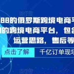 (5245期)俄罗斯跨境电商平台ozon运营,包含店铺申请,运营思路,售后等(无水印)