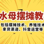 (5197期)水母·摆摊教学,包括摆摊技术、养殖技术、拿货渠道、抖音运营等