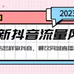 (5195期)2023最新抖音流量风口,同城餐饮店怎样做抖音,餐饮同城直播店引流方法