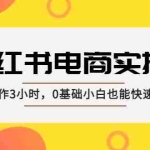 (5190期)小红书·电商实操课:每天操作3小时,0基础小白也能快速做出爆款!