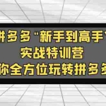 （5173期）拼多多“新手到高手”实战特训营：带你全方位玩转拼多多！