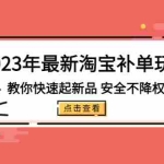 (5174期)2023年最新淘宝补单玩法,教你快速起·新品,安全·不降权(18课时)