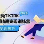 (5141期)跨境·短视频TIKTOK零基础到精通变现训练营 短视频·独立站·带货变现技巧