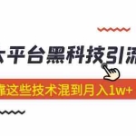 (5138期)价值4899的2023大平台黑科技引流技术 小白也能靠这些技术混到月入1w+29节课