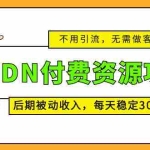(5137期)CNDN付费资源项目,不用引流,无需做客服,后期被动收入,每天稳定300+