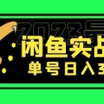 (5117期)花599买的闲鱼项目:2023最新闲鱼实战课,单号日入300+(7节课)