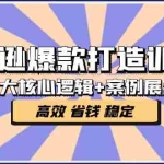 (5107期)亚马逊爆款打造训练营:5大核心逻辑+案例展示 打造爆款链接 高效 省钱 稳定
