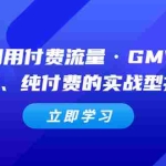 (5106期)教你利用付费流量·GMV放大,微付费、纯付费的实战型打法!