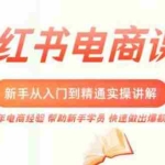 (5049期)小红书电商新手入门到精通实操课,从入门到精通做爆款笔记,开店运营