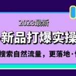 (5036期)拼多多-新品打爆实操流程:轻松快速拉搜索自然流量,更落地·快速提升!