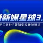 (5032期)《玩赚新媒星球3.0版》学习各种IP营销变现赚钱玩法(价值498)