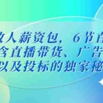(5025期)投放人薪资包,6节直播课,包含直播带货、广告投放、以及投标的独家秘籍