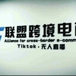 (5016期)Tiktok无人直播,不出镜不剪辑不拍摄不发货无售后的跨境短视频躺赚玩法