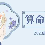 (4996期)外面卖1888的2023最火算命测算系统 对接易支付 微信支付宝官方(源码+教程)