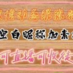 (4980期)微信动态昵称设置方法,可抖音直播引流,日赚上百【详细视频教程+素材】
