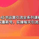 (4950期)小红书运营引流全系列课程:教你养高权重新号,实操每天引流100精准粉