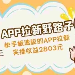 (4946期)APP拉新野路子:快手极速版的APP拉新赚,实操收益2803元