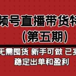 (4945期)视频号直播带货特训营(第五期)无需囤货 新手可做 已实现稳定出单和盈利