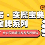 (4934期)拼多多·实操宝典:金牌系列“小白到高手”带你全方位玩转拼多多各种玩法