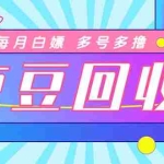 (4887期)最新京东代挂京豆回收项目,单号每月白嫖几十+多号多撸【代挂脚本+教程】