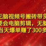 (4862期)无脑视频号搬砖带货,只要会电脑剪辑,无脑干,亲测当天爆单赚了300多佣金