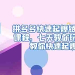 (4855期)拼多多快速起爆链接思路1.0课程,七天教你玩转拼夕夕,教你快速起爆链接